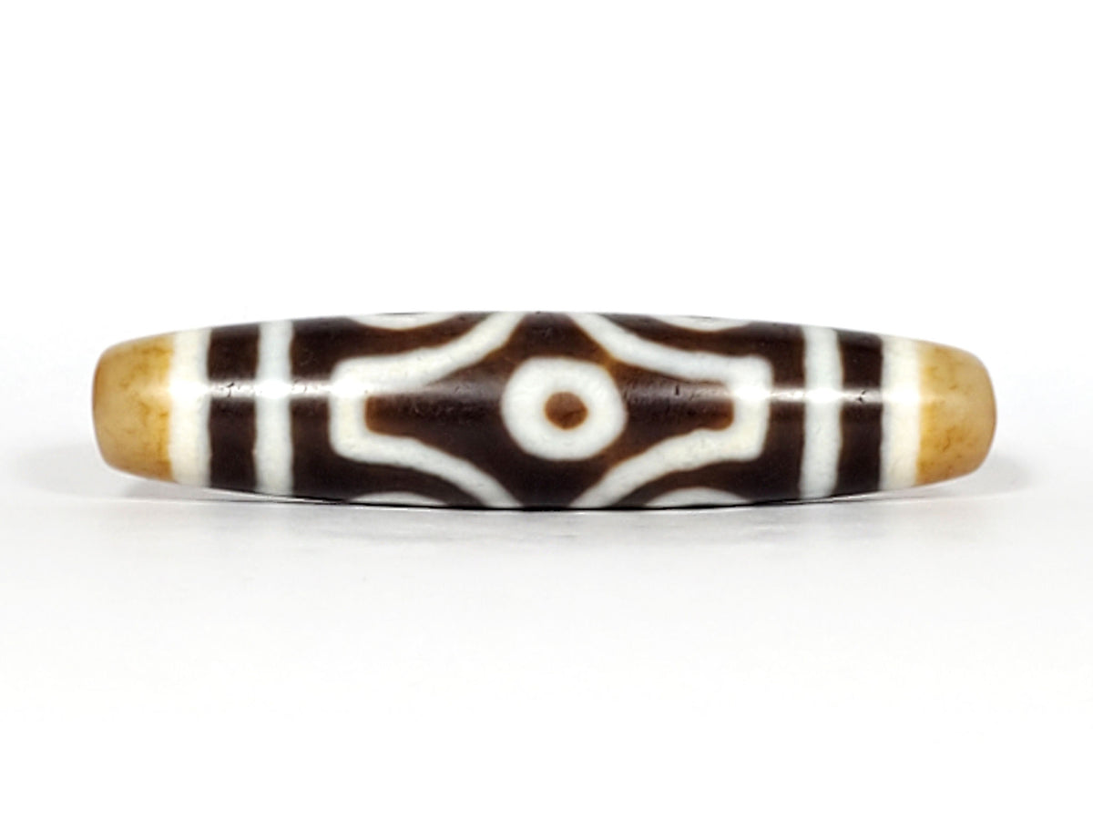Face C of antique six eye dzi At-053026-6E, two fully closed concentric-ring eyes with scroll connector, deep brown agate, honey-gold end caps, 54.9mm, unretouched photography