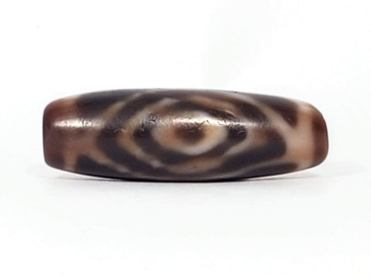 Ancient Tibetan dzi bead, double heaven's gate motif, dark brown agate, concentric oval eye pattern, aged patina, bloodspots visible