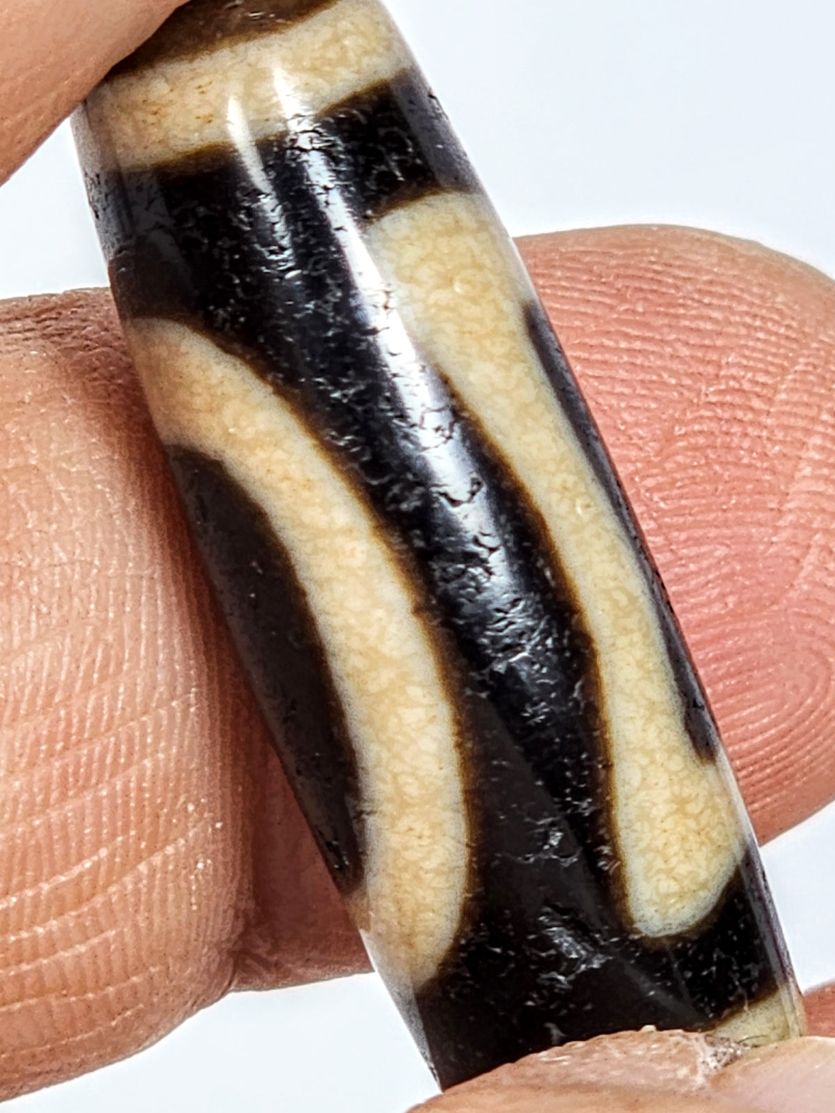 Rare ancient Heaven Earth motif dzi bead with black and cream agate patterns and visible bloodspots