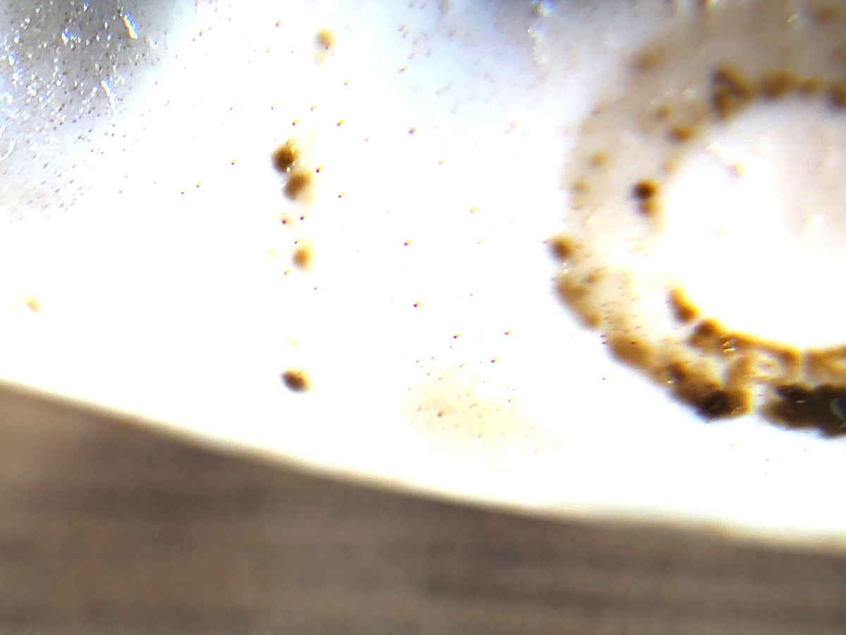 Six eye dzi bead with cream field and cinnabar eye boundaries, close-up detail shot showing agate surface texture and drill hole.