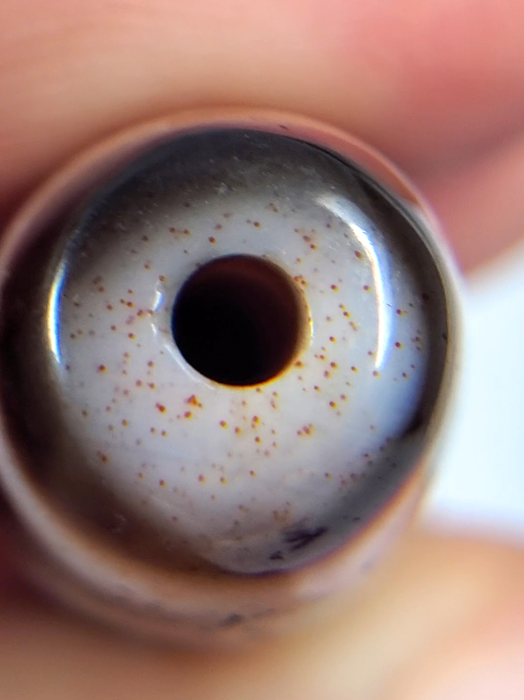 Antique Tibetan six-eye dzi bead closeup showing white agate, red bloodspots, dark eye motif, and aged drill hole patina