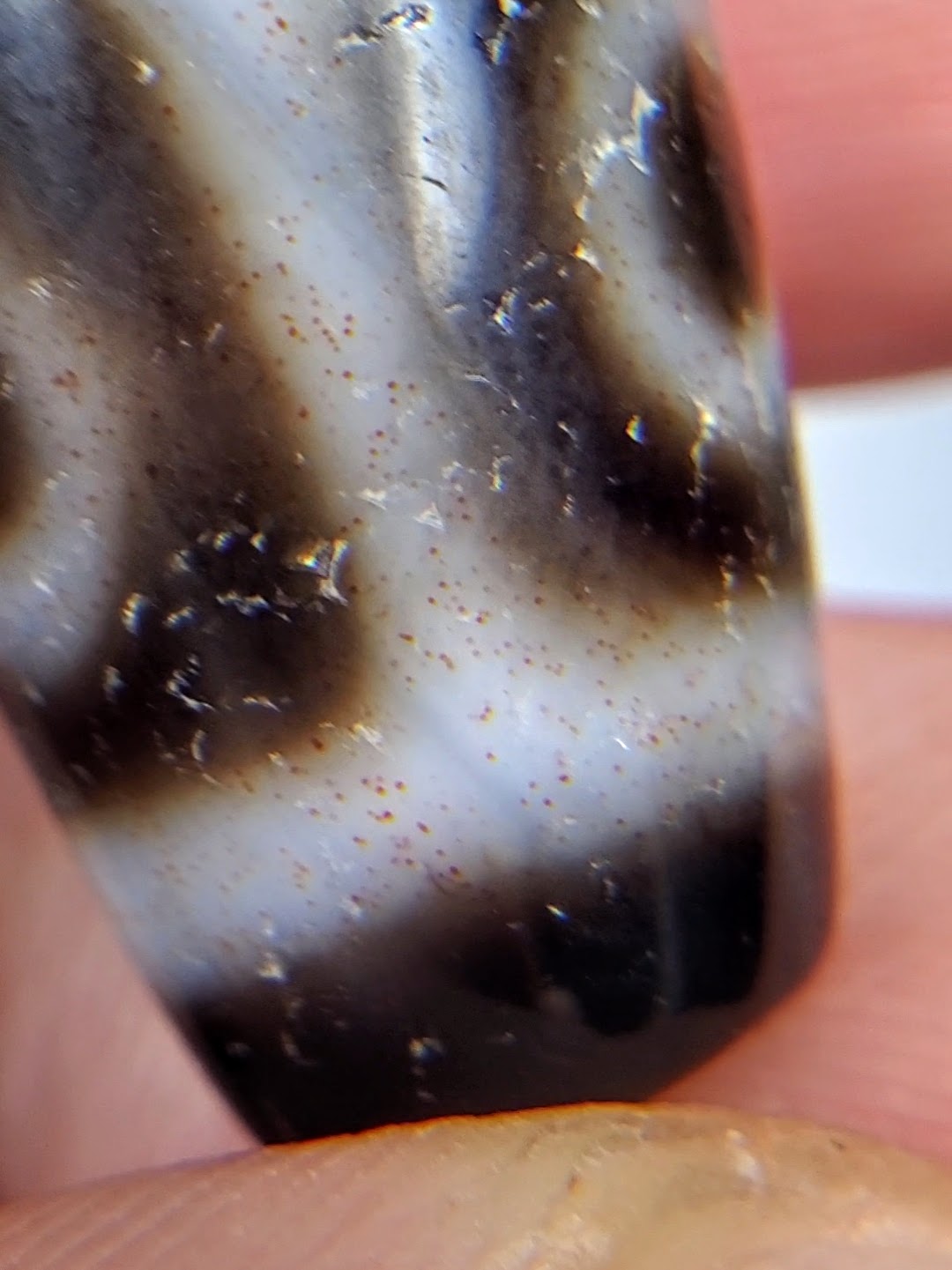 Antique Tibetan six-eye lotus dzi bead, dark agate with white banding, visible bloodspots and aged patina surface detail