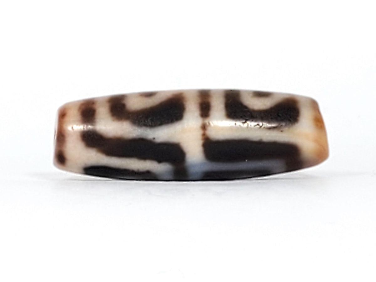 End cap of antique Four Leaf Bodhi dzi bead At-101624-FLB, warm brown agate tip, centred drill hole, compact barrel body, amber ground, unretouched photography