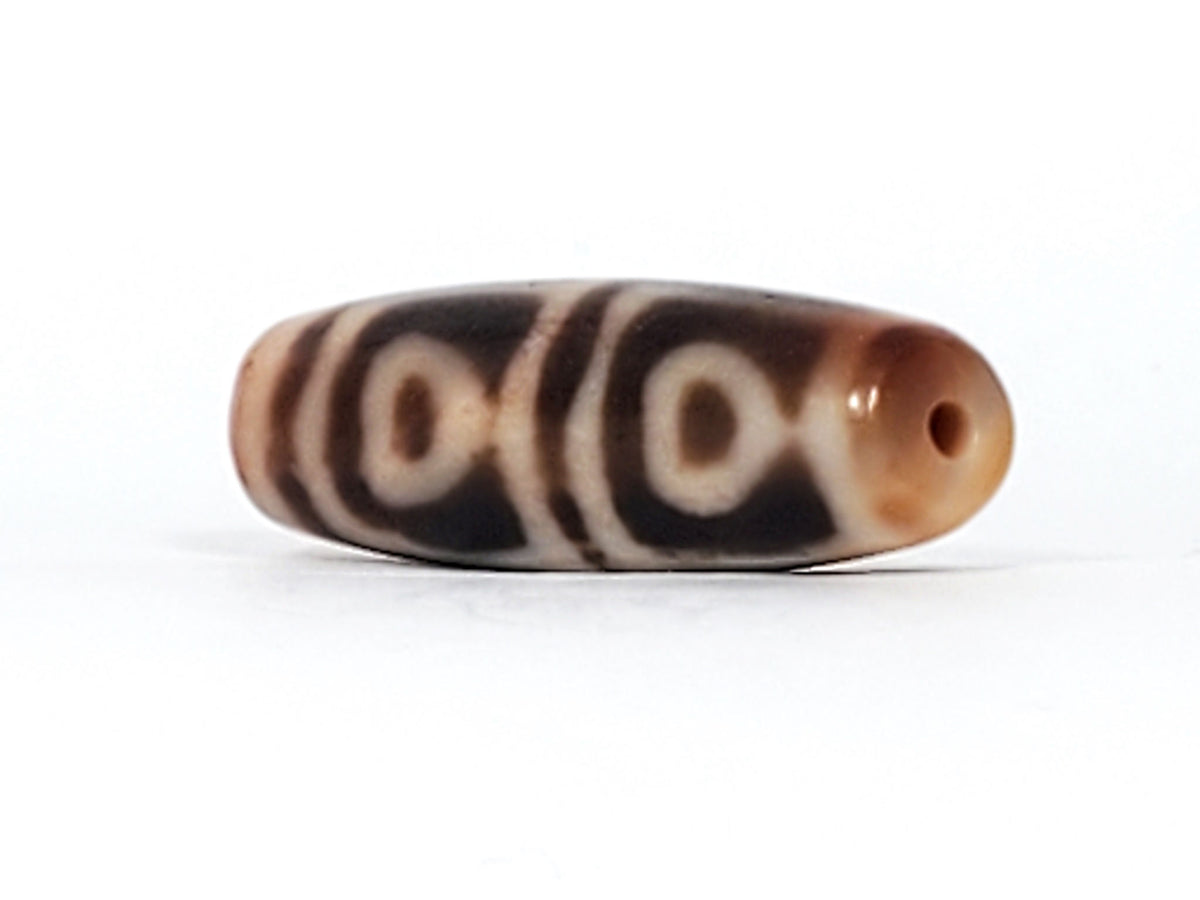 Antique four-leaf Bodhi dzi bead, honey-brown agate, dark eye motifs, cream striping, bloodspots, visible drill hole, aged patina