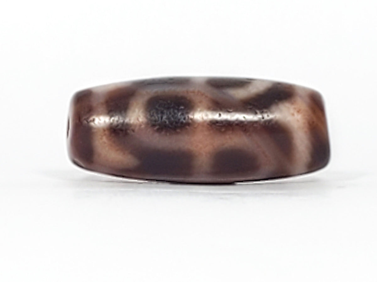 At-091124-TTL face C tiger tooth arc warm brown agate organic dark markings dzi unretouched