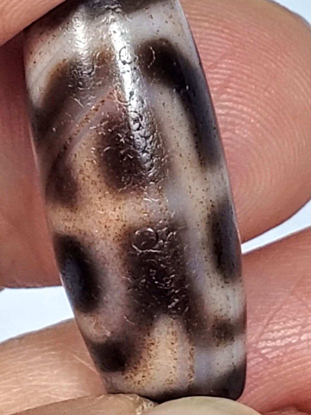 Tiger Tooth Lotus Dzi bead, warm brown agate with cinnabar bloodspots, natural patterning, 28.6mm