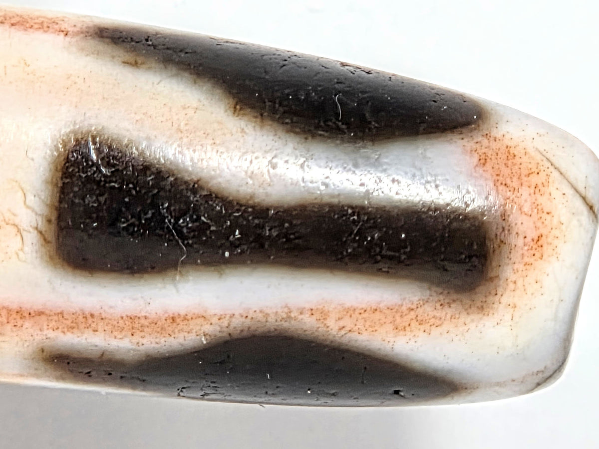 At-070626-3VjBS macro opposite end, pervasive cinnabar saturation, cream zone reddish-orange blush, unretouched