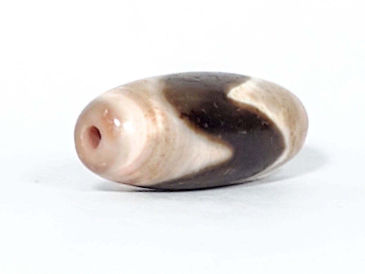 At-053126-Ta4, angled end-cap view, warm rose-cream cap with drilled hole, chocolate-brown tooth sweeping body, unretouched