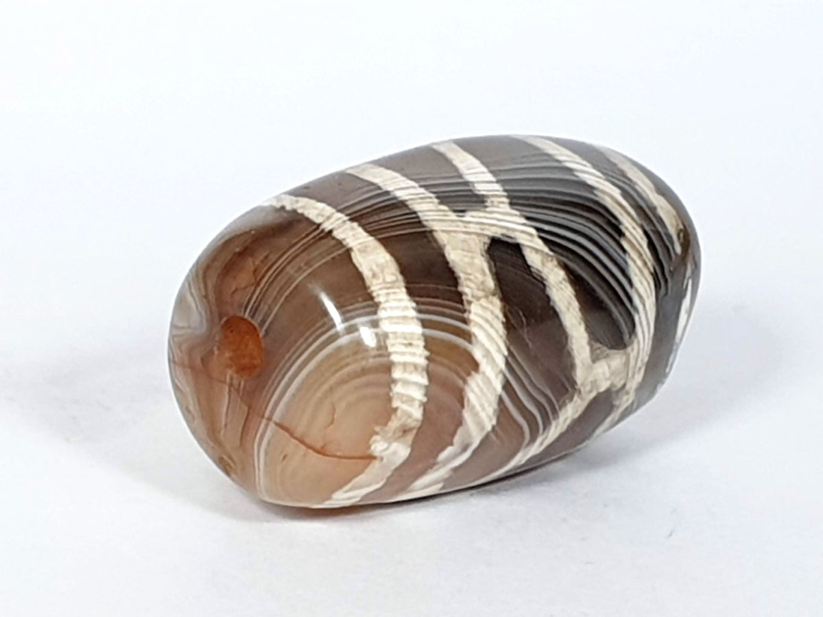 Antique longevity dzi — angled end, lattice on body, orange-red agate inclusion near drill hole tip, At-0426-Lon2