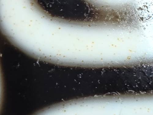 Rare nine-eye Tibetan dzi bead with bloodspots, natural agate stripes, drill holes, and antique patina