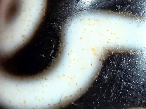 Rare antique nine-eye Tibetan dzi bead with natural agate striping and bloodspots, showing patina and drill hole detail.
