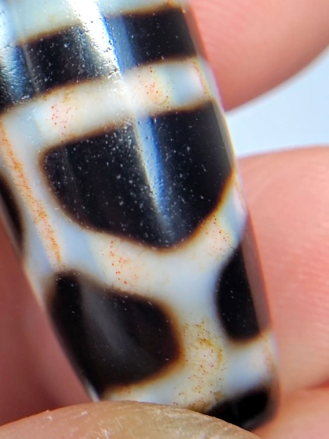 Double longevity dzi bead pitch-black agate white geometric motif bloodspots aged patina close-up macro detail