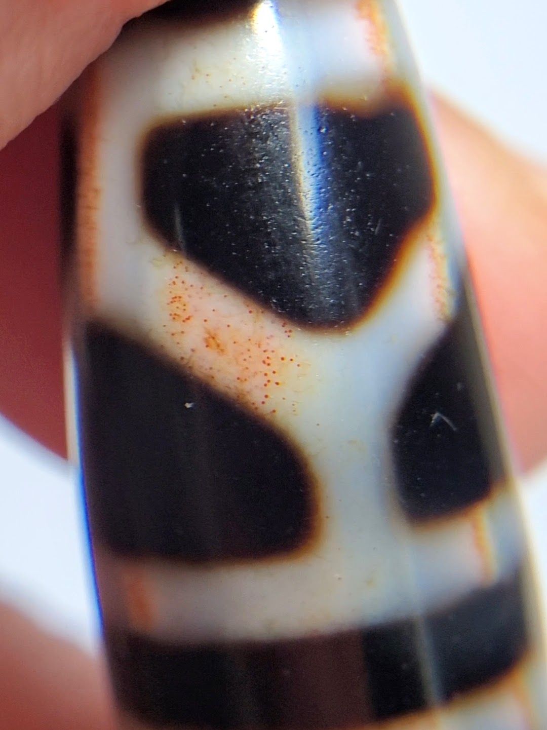 Vintage Double Longevity Motif Dzi Bead with Bloodspots (TaD-V-B-DL-092824-3)