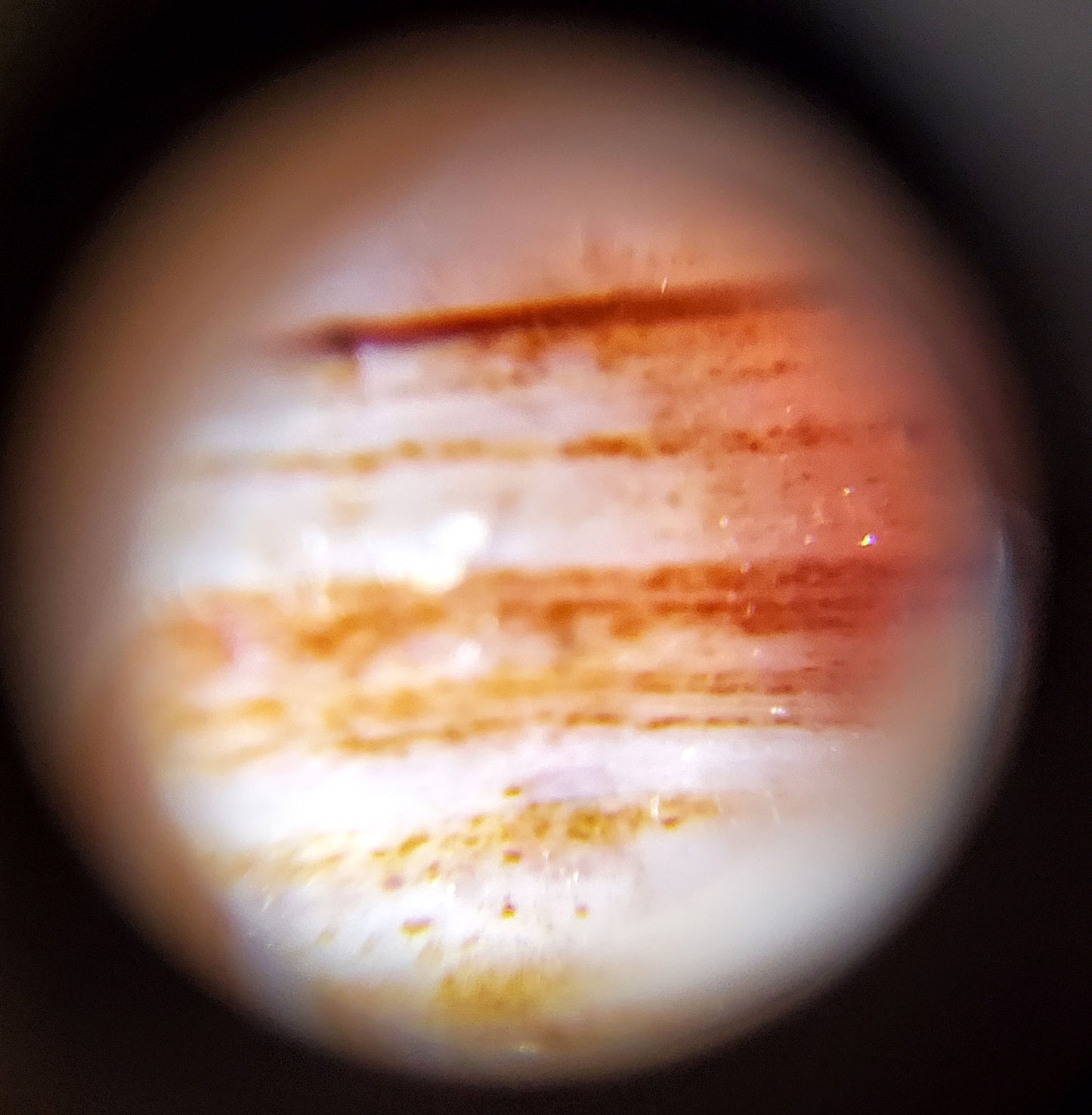 Macro close-up of Tasso dzi bloodspot zone showing dense iron-oxide micro-dots on orange agate, At-052526-TaBS 110
