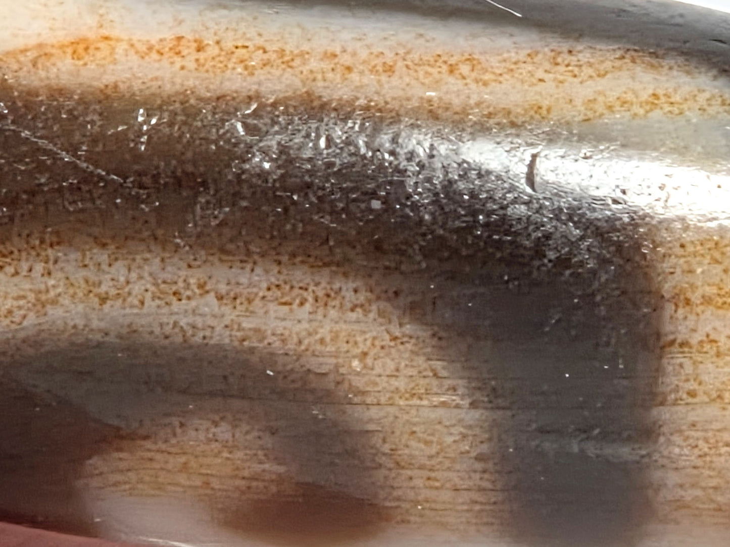 At-082326-GTBS macro view second zone showing reddish-orange cinnabar dot scatter and age-crystalline surface texture in cream field, unretouched