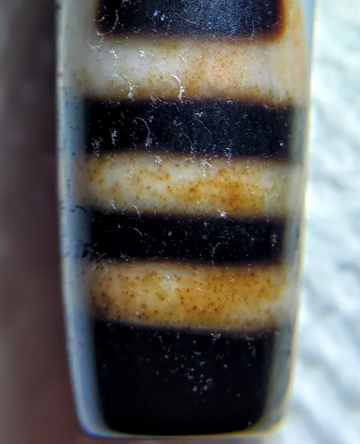Antique dzi bead close-up showing alternating black and cream agate bands, Heaven's Gate Earth's Gate motif, russet bloodspots, aged patina