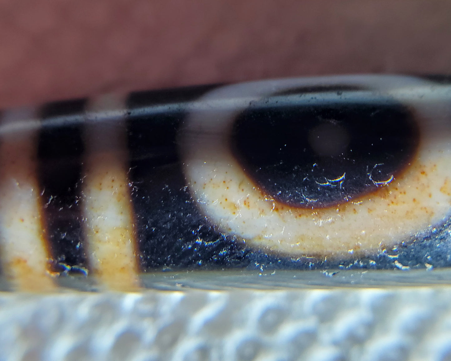 Antique Heaven's Gate & Earth's Gate Motif Dzi Bead with Bloodspots (AntD-B-S-HGEG-061423)