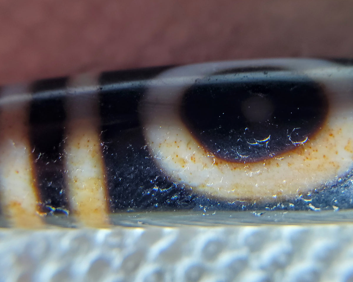 Antique dzi bead macro closeup showing heaven earth gate motif dark eye pattern cream agate bloodspots aged patina surface detail