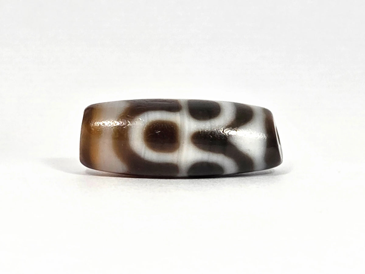 Vintage Taiwan chalcedony dzi bead N-B-101426-TTL, first lateral profile — cream-white tiger tooth fang forms and lotus petal elements on dark warm brown chalcedony ground, short squat barrel with high-gloss polish, 1980s
