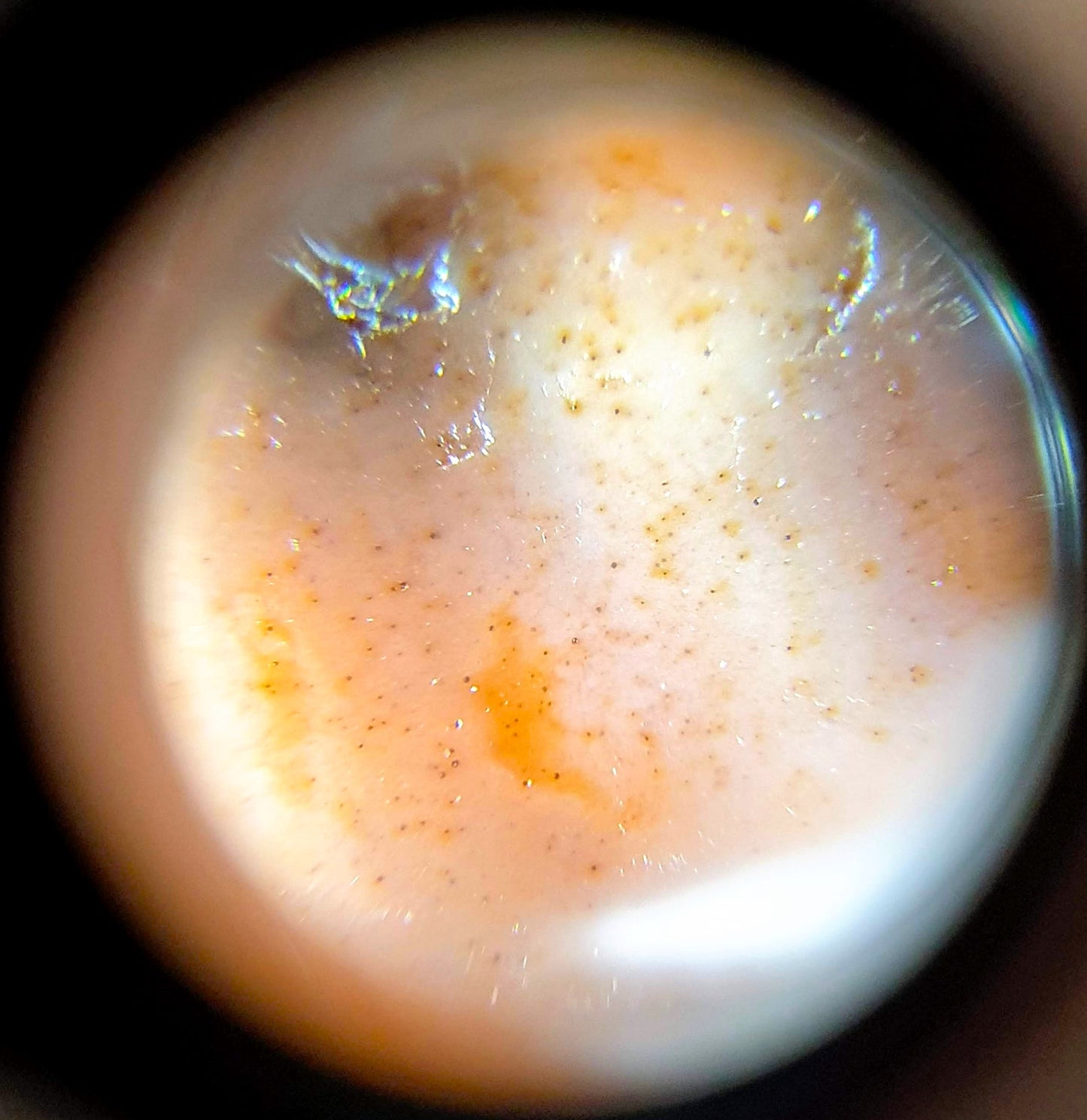 Antique Double Heaven & Earth Motif Dzi Bead - Rare Qing Dynasty Chinese Dzi