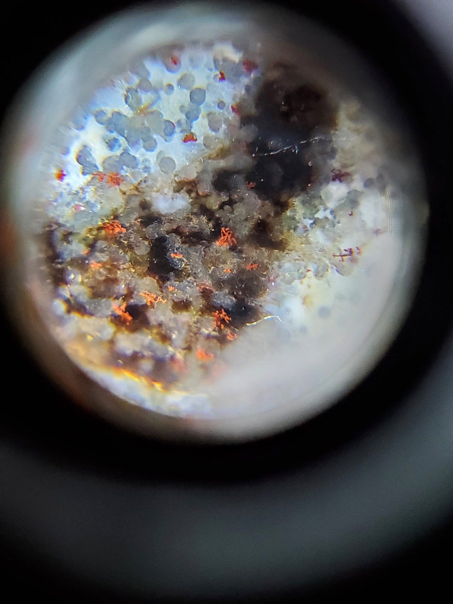 New Twelve Eye Motif Dzi Bead With Bloodspots (2)