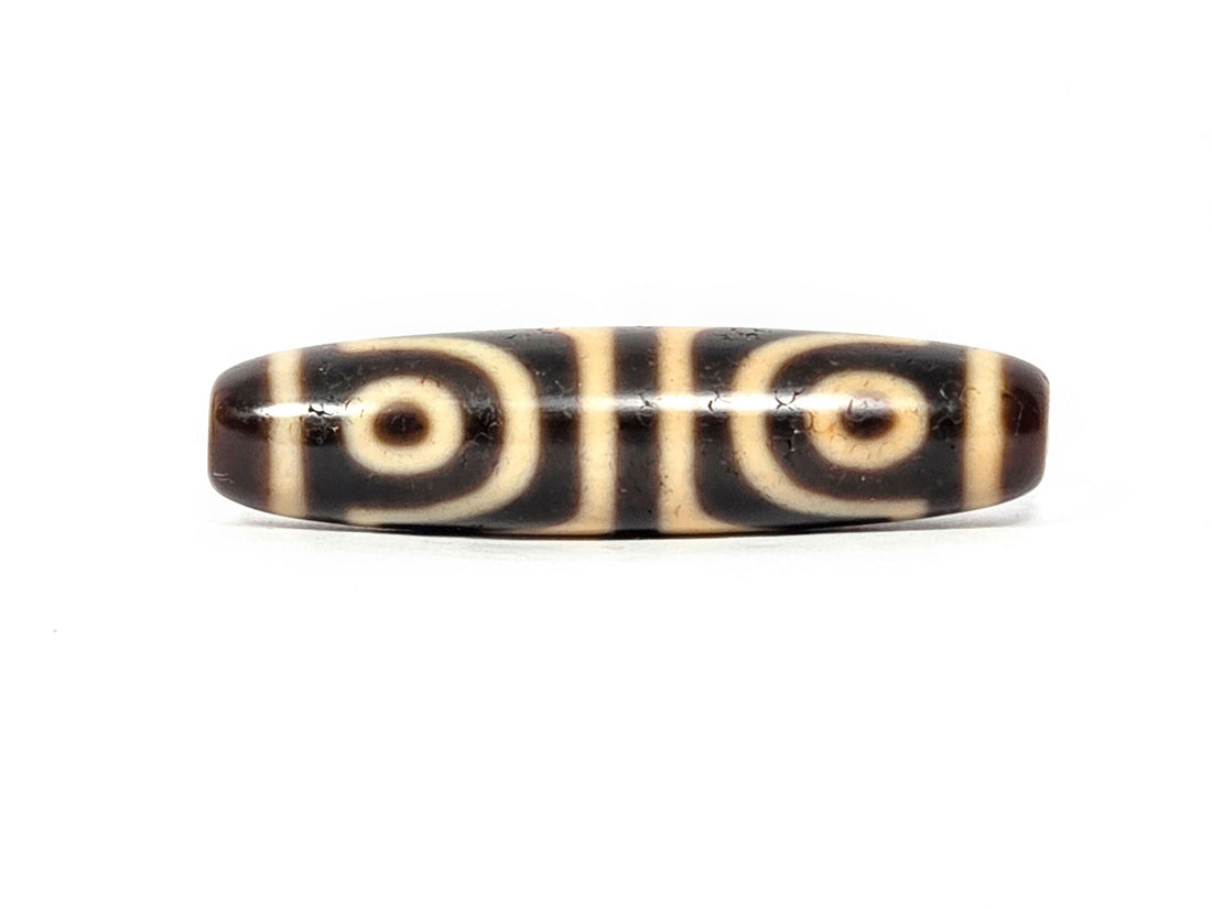 Antique Tibetan four eye tiger tooth dzi bead, concentric-ring eyes on dark brown agate, At-082525-4ETT, unretouched