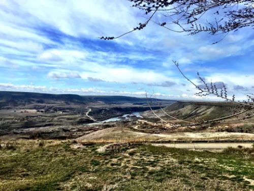 The Bliss of Transience