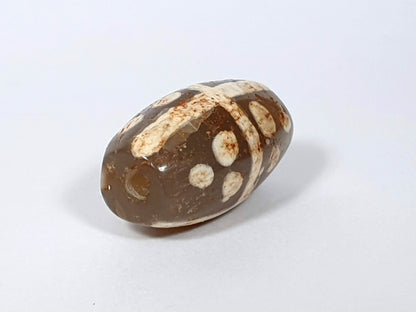 Ancient eighteen star motif agate dzi bead with cream and brown striped pattern, polished surface, and visible drill hole