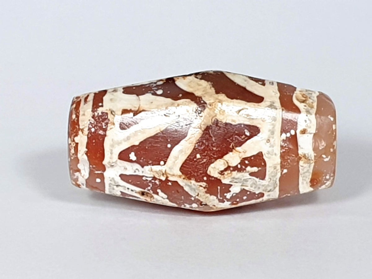 Ac-032320-LTT ancient lotus tiger tooth carnelian dzi 28.3×15.8mm terracotta-red raised white etching, unretouched