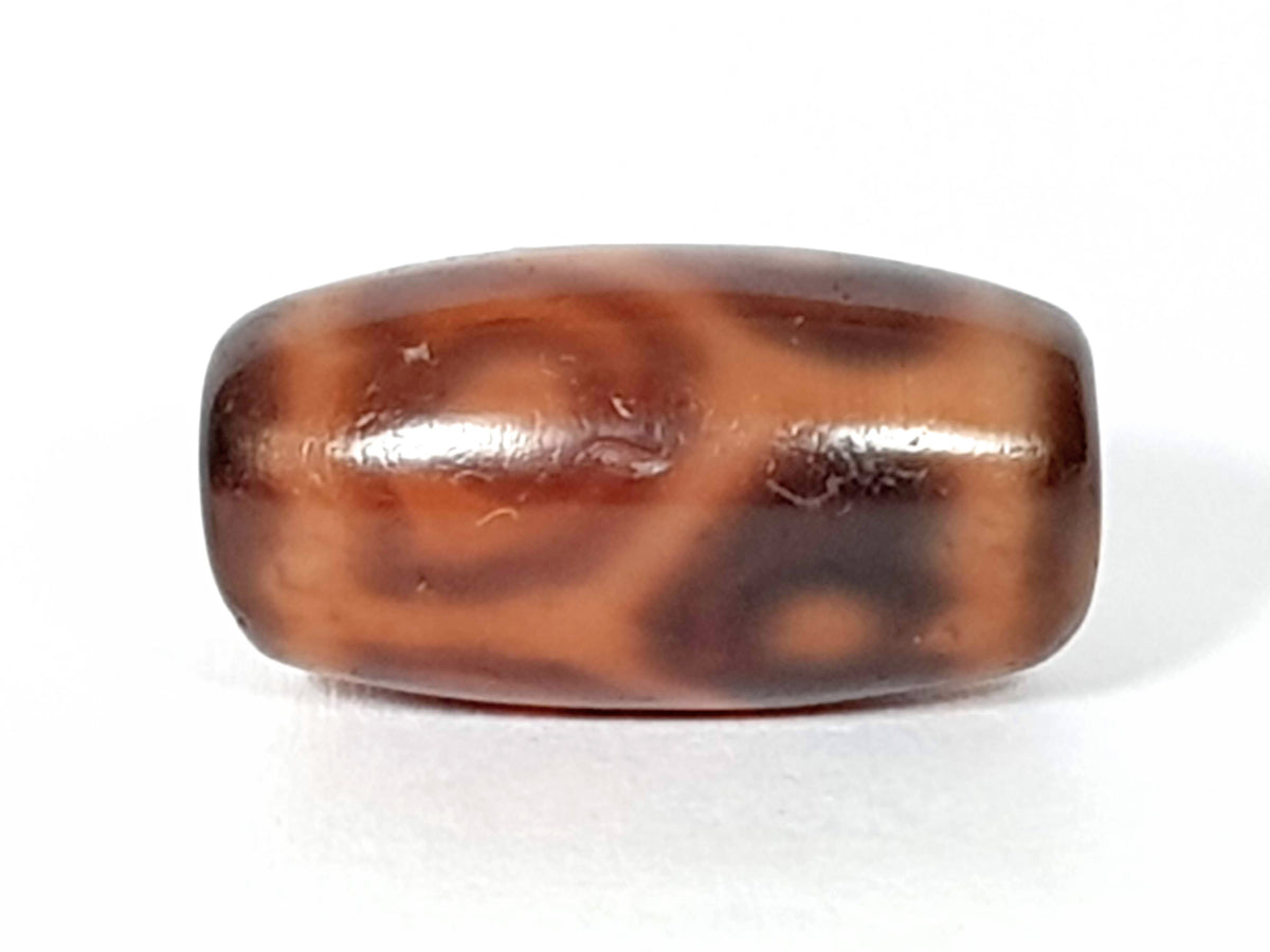 Antique six eye dzi bead, dark brown agate, lotus motif pattern, natural patina, oval barrel shape, weathered surface texture