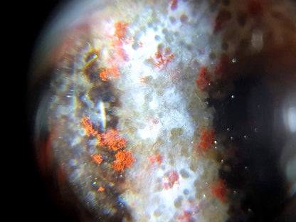 Three eye dzi bead with orange bloodspots, natural agate patterns, and white striping, viewed under magnification