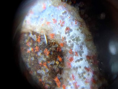 Three eye dzi bead with natural bloodspot agate patterning, white and orange striped surface, magnified close-up view
