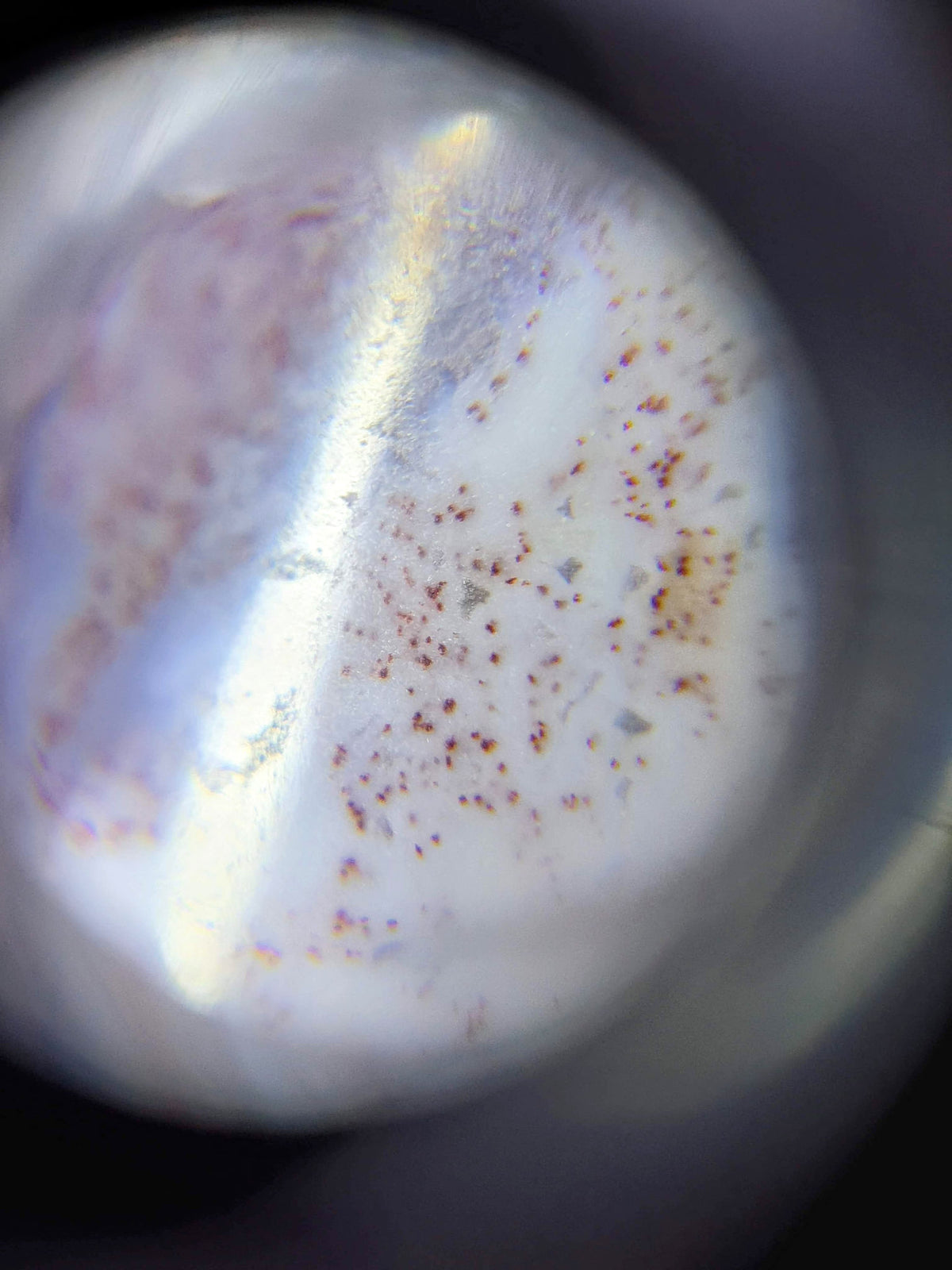Tiger Tooth Agate Dzi Bead with red bloodspots, white and grey striped pattern, polished surface