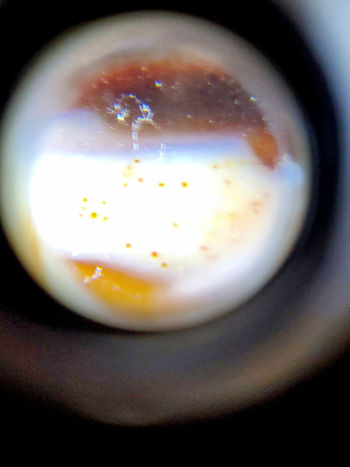 At-041521-2EBS face A near-closed eye honey-golden-orange motif deep near-black 49.1x11.8mm dzi unretouched