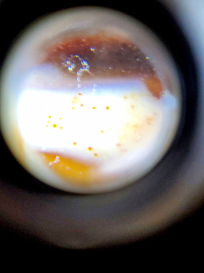 At-041521-2EBS face A near-closed eye honey-golden-orange motif deep near-black 49.1x11.8mm dzi unretouched