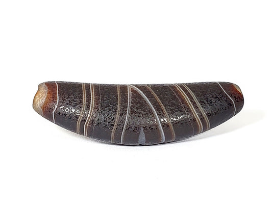 Bow-shaped natural banded agate dzi bead with striped pattern and polished surface on white background