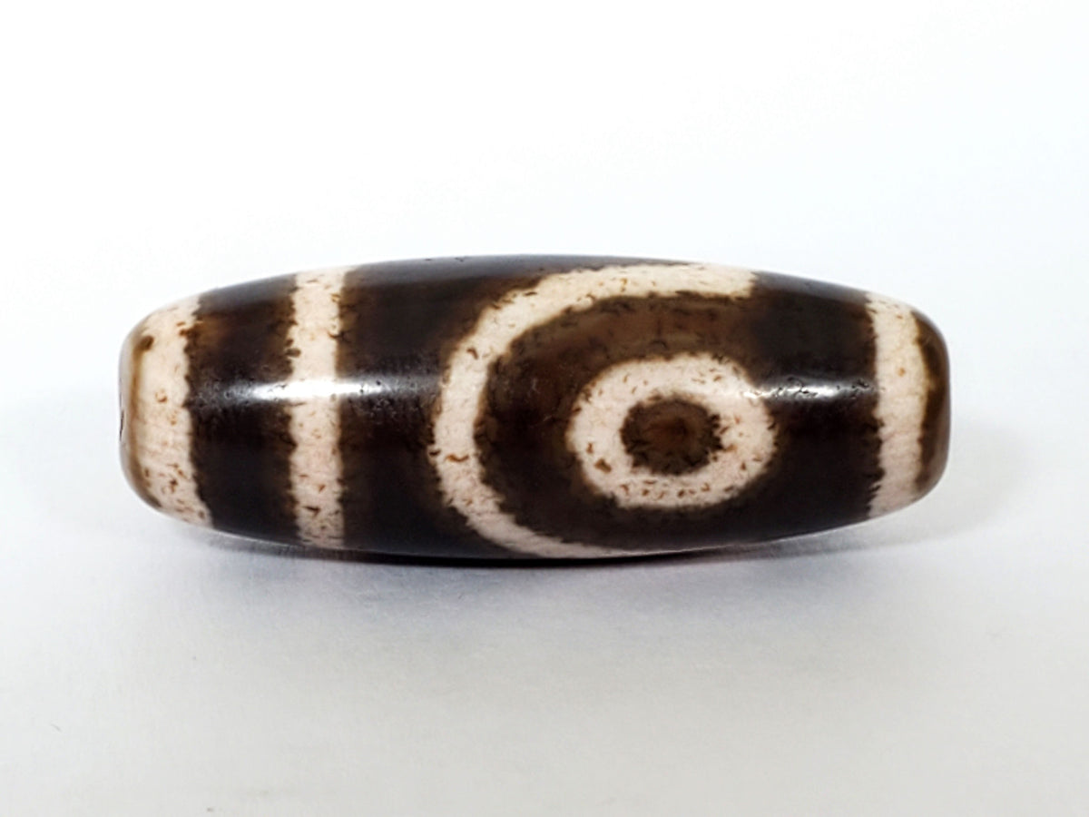Antique Qing Dynasty two-eye dzi bead, dark brown agate, cream spiral eye motifs, striped patterning, aged patina surface.