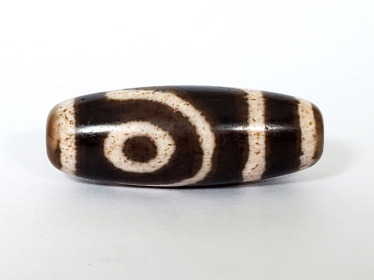 Antique Qing Dynasty two-eye dzi bead, dark agate with cream eye motif, stripe pattern, aged patina, visible drill hole.