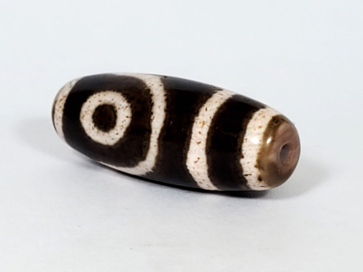 Antique Qing Dynasty two-eye dzi bead, dark brown agate, cream stripe pattern, visible drill hole, aged patina