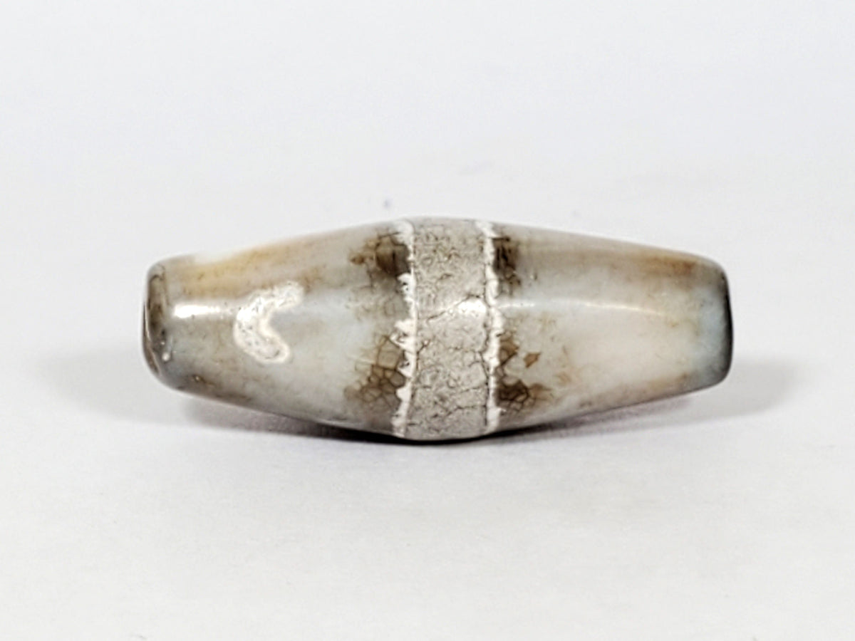 Ac-061526-1SPair, both beads opposite tips, Bead B warm honey-orange tip contrasting dark body, calcification zones, unretouched