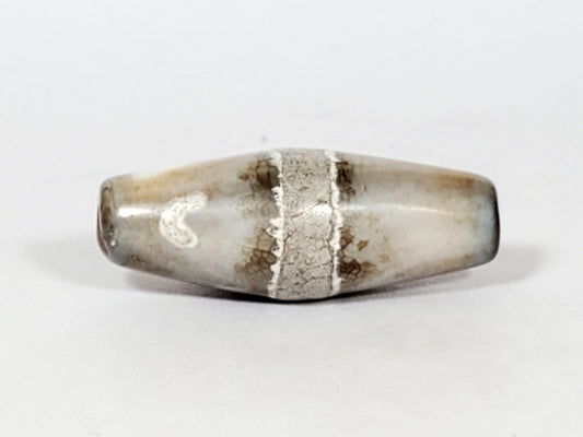 Ac-061526-1SPair, both beads opposite tips, Bead B warm honey-orange tip contrasting dark body, calcification zones, unretouched