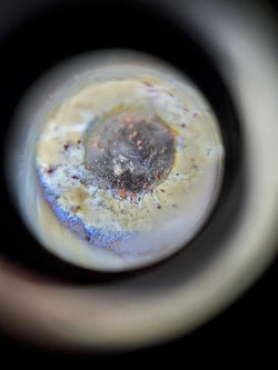 Nine-eye dzi bead with bloodspots, natural agate pattern, cream and brown tones, drilled center hole