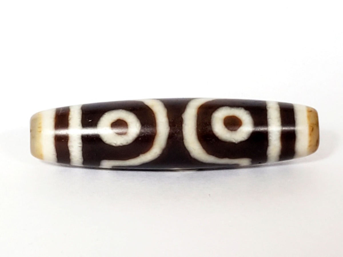 Face C of antique three eye dzi At-053126-3E, two open C-ring eyes on warm brown agate, unframed pair, honey-tan end caps, 51.2mm × 13.0mm, unretouched photography