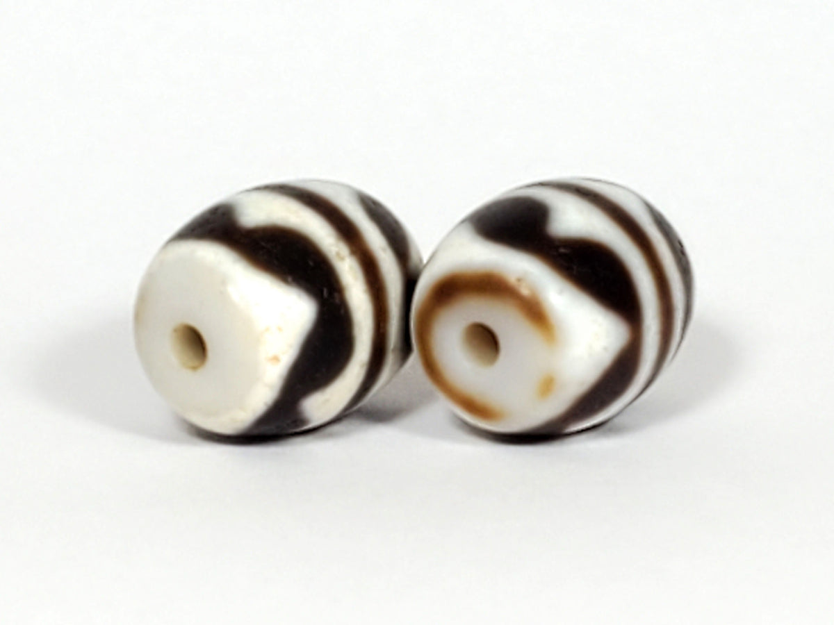 V-041122-DTT pair vintage double tiger tooth dzi, drill end view, Bead A honey-tan ring, Bead B cream-white, unretouched