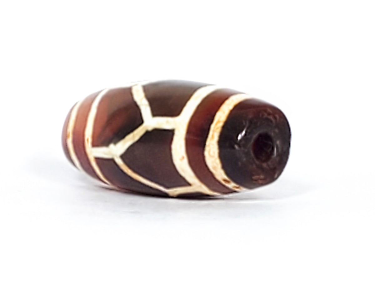 Antique carnelian dzi bead tortoise shell motif, brown agate, cream etched pattern, visible drill hole, aged patina