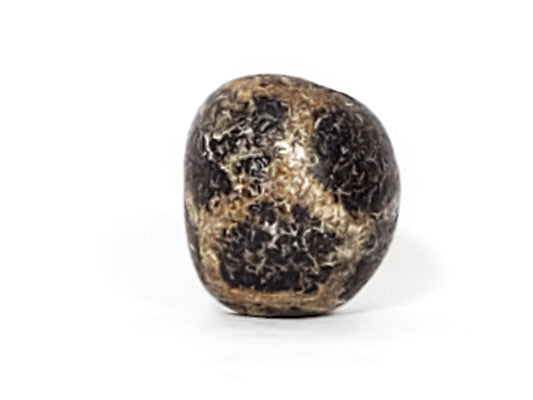Ancient Longevity Dzi bead, 15.9mm — round black agate, tortoise shell motif, 800–1,000 years old