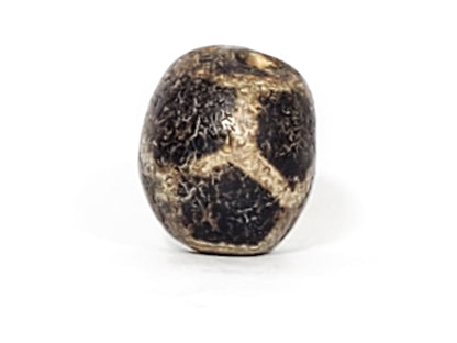 Second face of ancient Longevity Dzi — cream-gold tortoise shell panels on black agate, 800–1,000 yrs