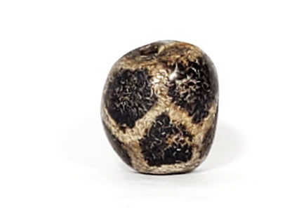 Third angle of ancient Longevity Tortoise Shell Dzi bead — cream dividing lines on deep black agate