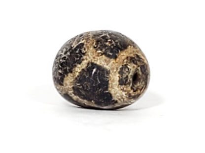 Ac-031323-LON ancient longevity tortoise shell dzi agate second drill hole visible calcification rotation 5 unretouched