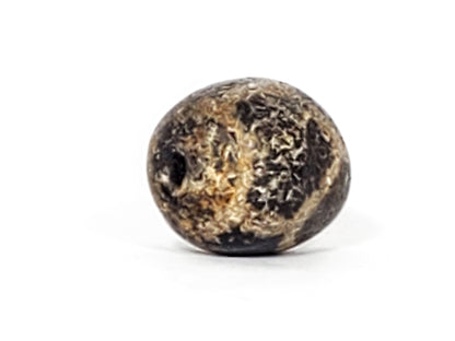 End view of ancient Longevity Dzi — drill hole visible, tortoise shell motif on compact round bead